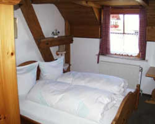 Hotel Restaurant Schrotmuehle Scheinfeld Bagian luar foto